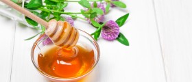 Red Clover To Help Treat Osteoporosis: What Does The Science Say?